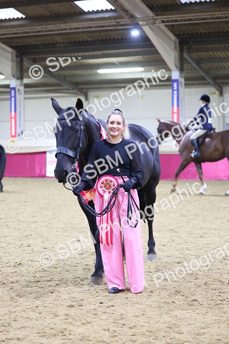 SBM_19189 - Class I Competition/ Riding Club Champ