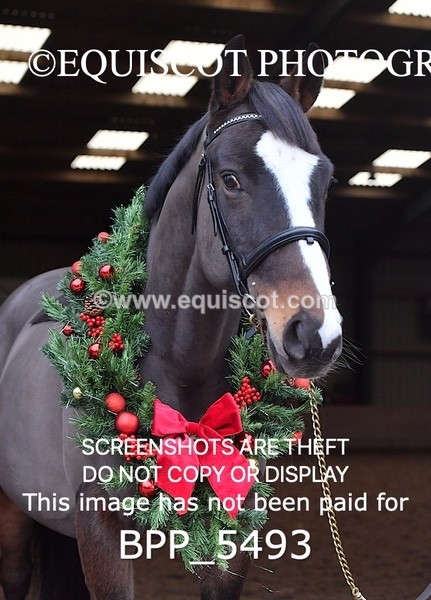 BPP_5493 - Morag Johnston