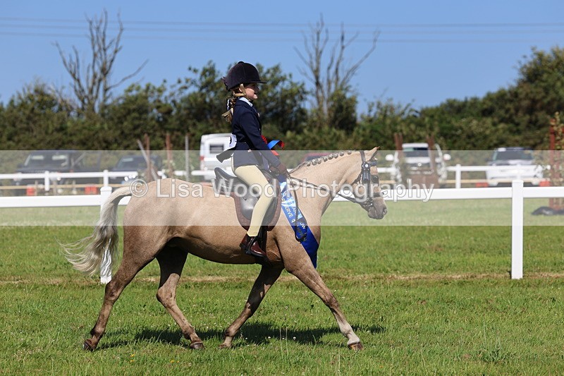 IMG_1870 - Plaited Mini Ridden Championship