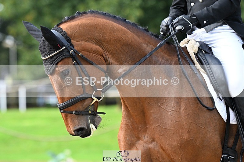 231019-110446-01727 - 036-DIAMANT.CRYSTAL.BLUE-Adam.Trew-DR