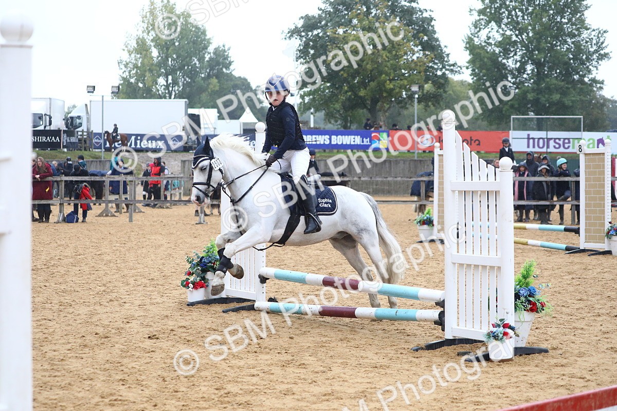 SBM_71590 - J4 - Mini Tour Junior Pony 45cm Championship