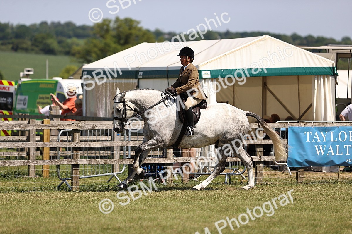 SBM_17746 - Class 81-83 - TSR Ridden Amateur of the Year - Horses