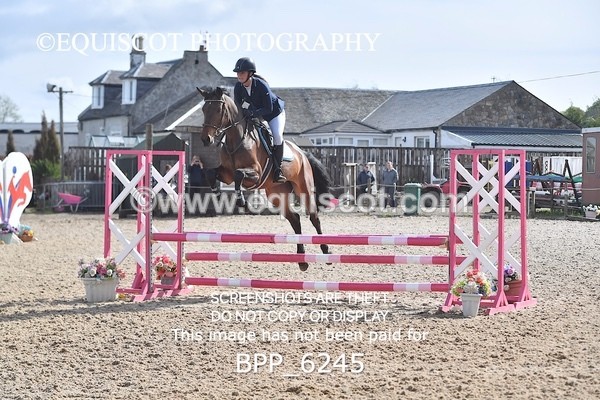 BPP_6245 - CLASS 32 MON Club/ Unaffiliated 80cms Open