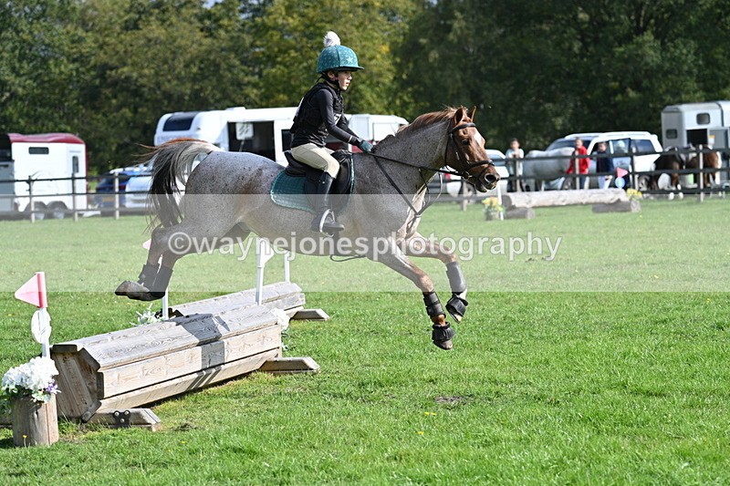 WJ7_4964 - 60cm Time 11:11 to 11:19