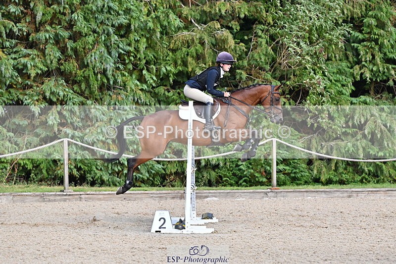 250802A-171409-08291 - H-353-Nancy.Wilson.Connell-BLUESTONE.BUTTERFLY