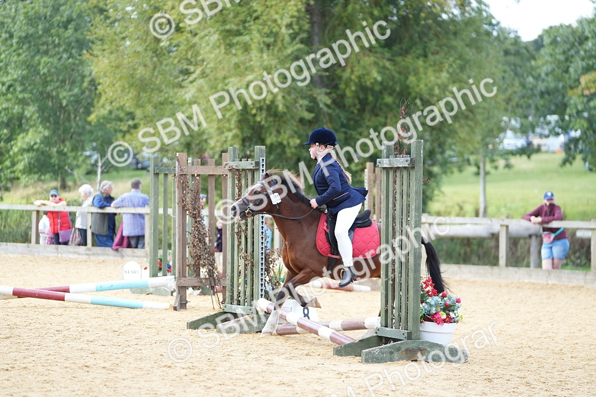 SBM_64398 - J2 - Mini Tour Junior Pony 30cm Championship