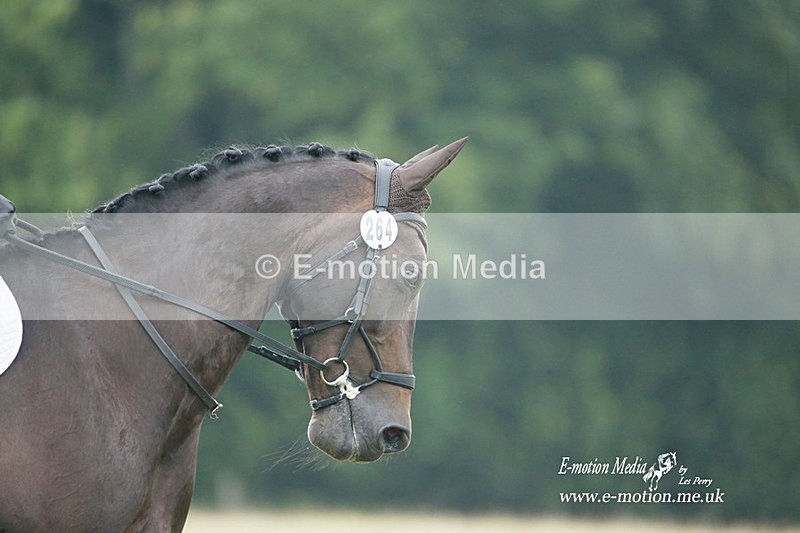 BVRC 030721 614 - Bourne Valley Riding Club Dressage 03/07/21