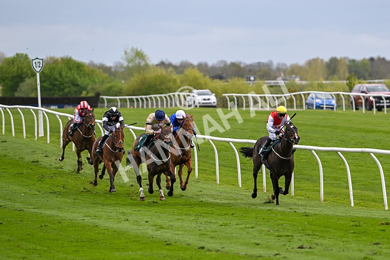 240424-Race 2-Restless Prince-7704 - Race 2