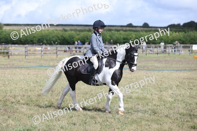 20250831-4184 - Class 20 - Ridden Coloured