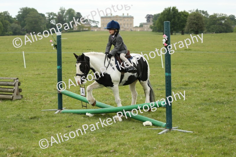 20250517-0483 - Class 20 - Beginners Working Hunter
