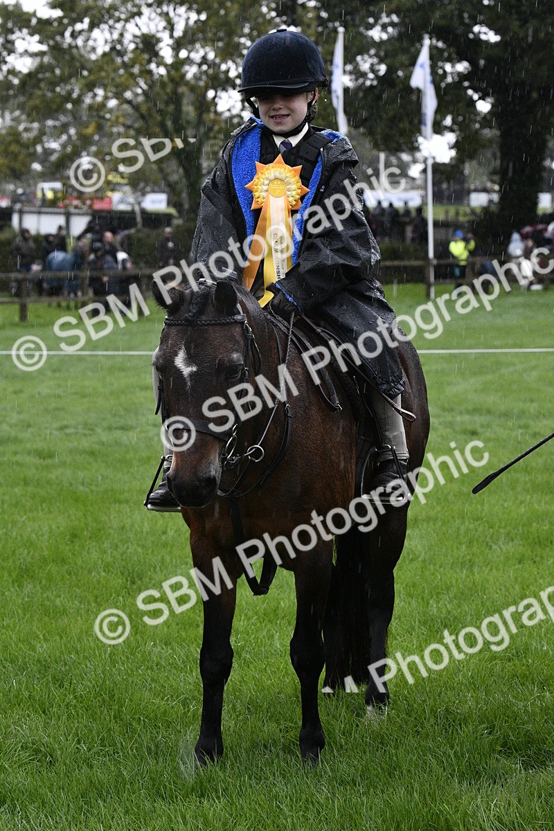 SBM_35588 - S30 - Nursery Stakes Working Hunter Pony