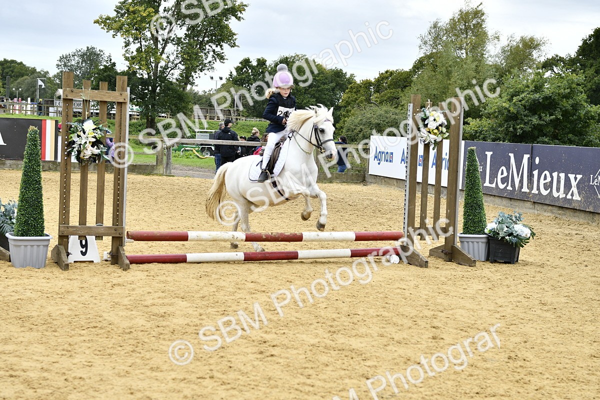SBM_65482 - J2a mini Tour Junior Pony 30cm Championship