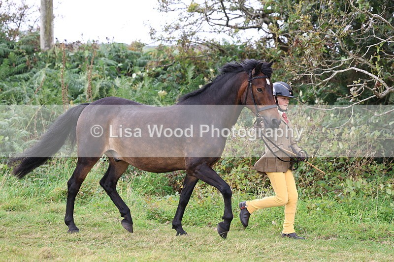 3E7A4614 - Class 16: Best Grass Kept