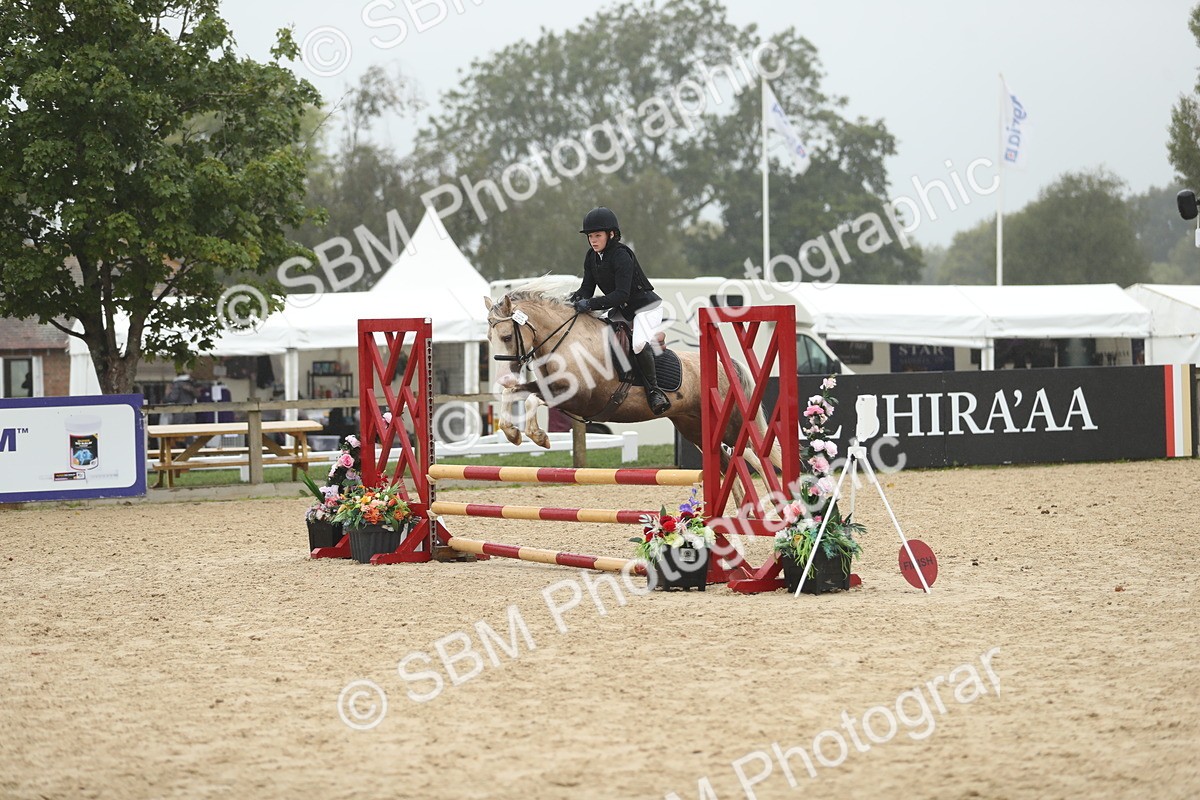 SBM_73825 - J16 - Junior Pony 75cm Championship