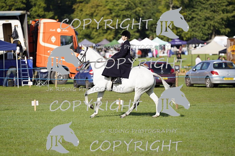 _DSC9485 - Class 8 & 17 Ridden Hunter & Ridden Hunter Pony