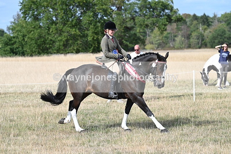 WJ7_7883 - Ridden Championship
