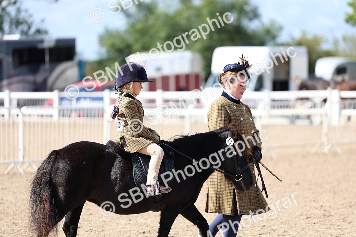 SBM_13053 - Class 309 - Lead Rein Pony