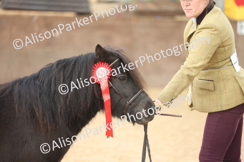 20251109-0107 - Class 5 - Mares 4 Years and over