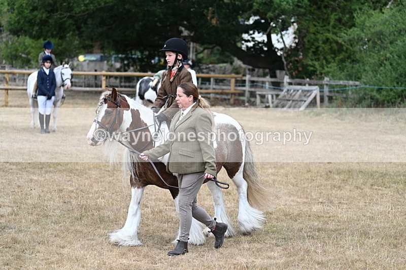 WJ7_6731 - Class 1 Lead Rein Pony