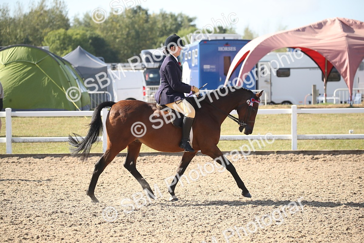 SBM_22794 - Class 602 - 2026 Area - Ridden Veteran