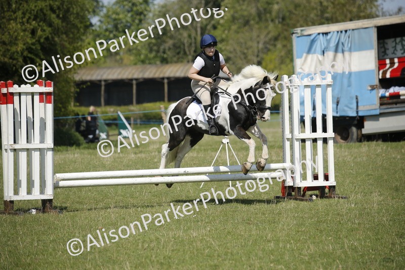 20250427-2223 - Class 13 - Novice Jumping 60cm