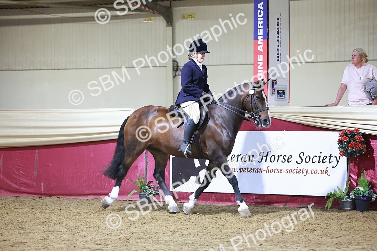 SBM_21146 - class Q - Ridden Horse Champ