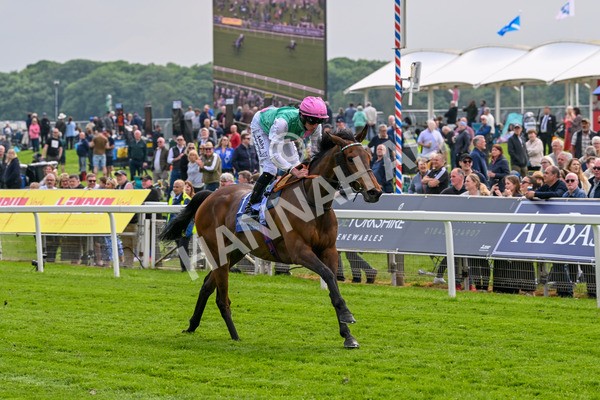 160524-Race 3-Bluestocking-5653 - Race 3 3.15pm  Al Basti Equiworld Dubai Middleton Fillies' Stakes