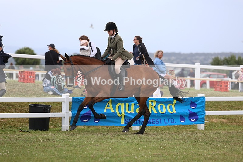 3E7A1510 - Class 9: Open Hunter