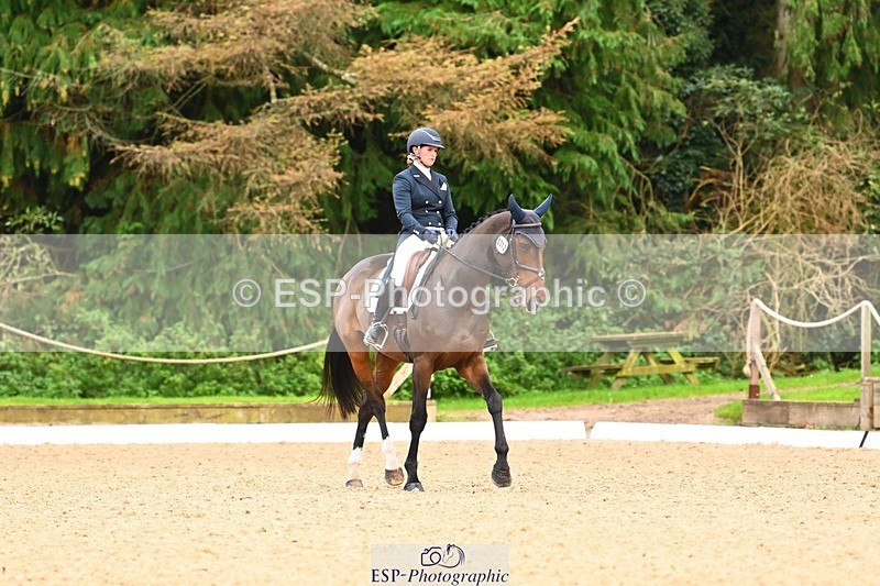 231020-150352-10074 - 312-HALVANNA.THE.LAST.SONG-Holly.Horton-DR