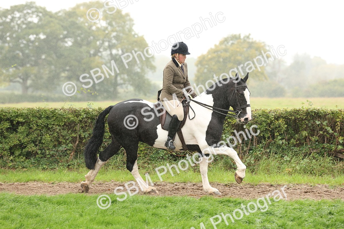 SBM_69802 - S69 - Show Cob Ridden