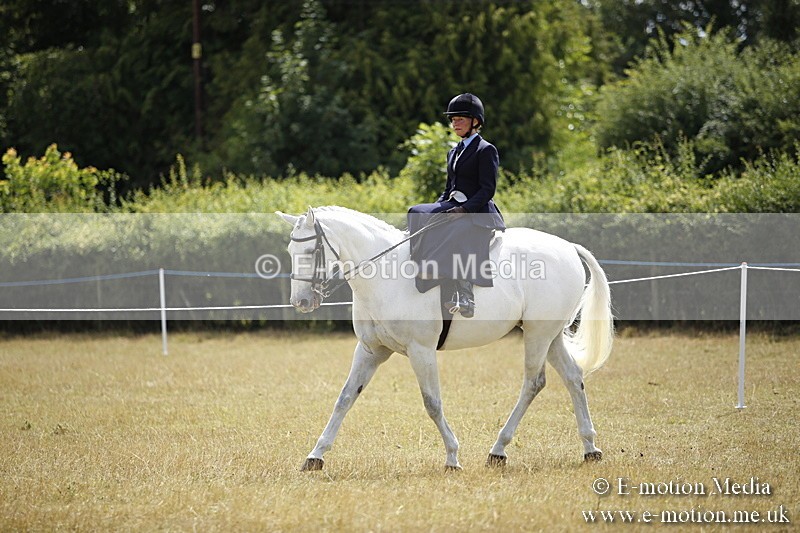 _C7A0281 - Side Saddle Classes BVRC Show 2018