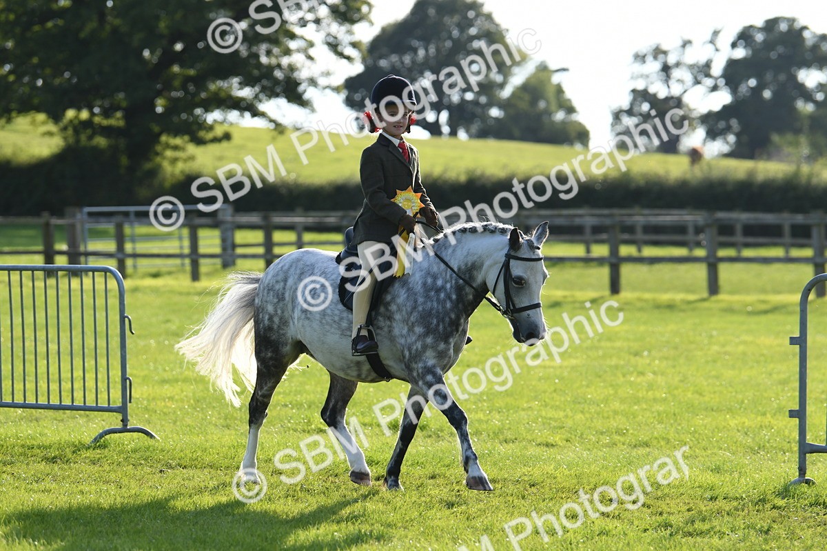 SBM_52474 - S22 - 1st Ridden Show & Show Hunter Pony