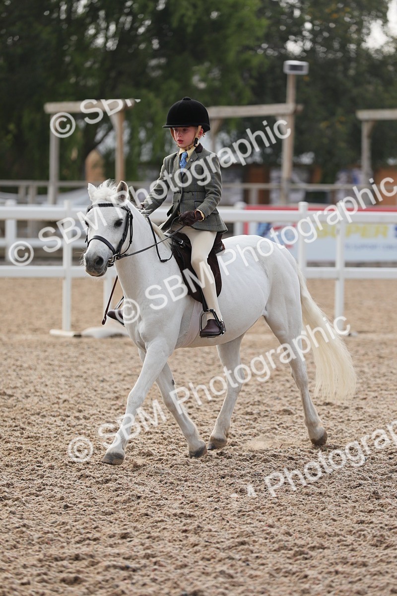 SBM_09659 - Class 301 Ridden M&M -Small Breeds