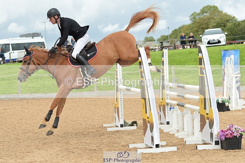 230813A-131134-13188 - Cls 49 Chard Eq 5yr Old Championship