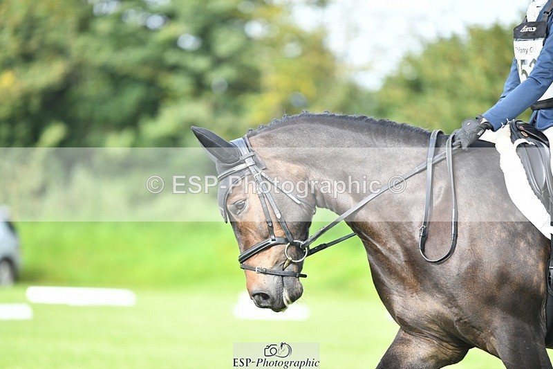 230826-092031-15085 - Sections C & D 9 to 10am