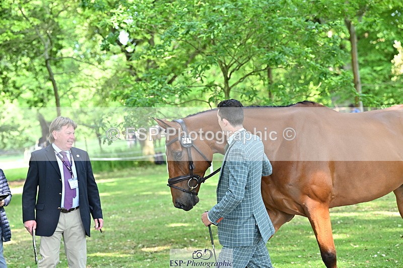 250521A-163917-01260 - C-251-Freddie.Carden-MBF.VITAL.FINESSE