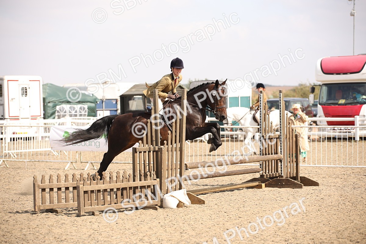 SBM_15058 - Class 408a - Working Veteran 70cm (15-19