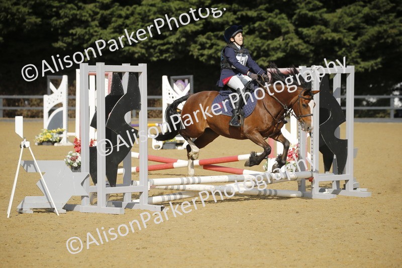 20250622-1373 - 40cm