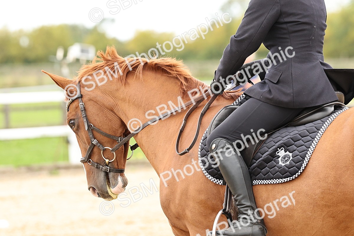 SBM_004564 - Class 69 - Novice 2