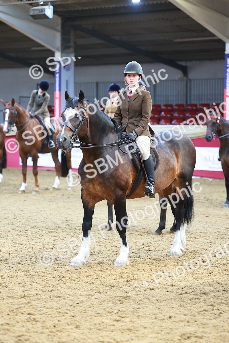 SBM_12671 - Class 103 - HOYS Veteran Qualifier - Ridden Pre Vet