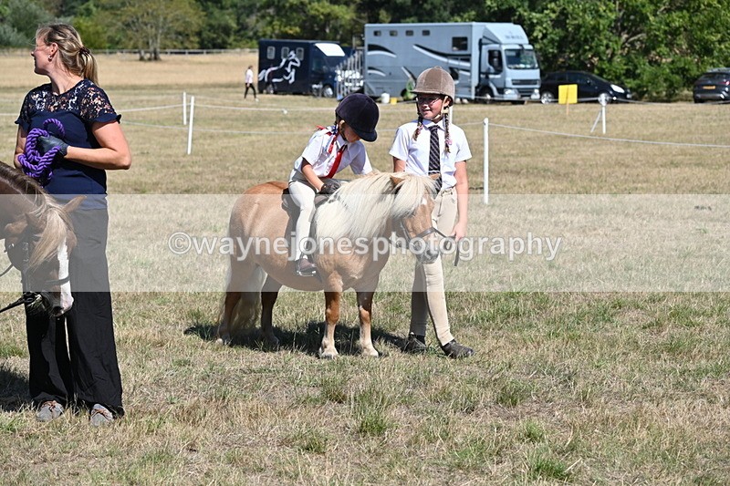 WJ6_9326 - Class 40 Cheekiest Pony/Horse