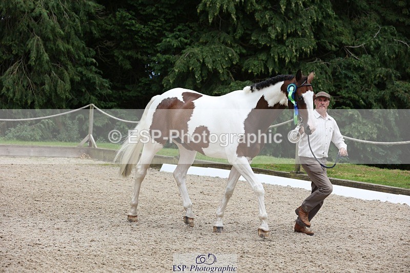 230812-145007-04818 - Novice Silver Presentations
