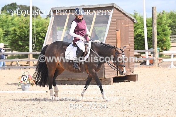 BPP_7234 - PRELIM 3