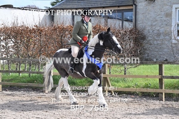 BPP_7685 - RING 1  (RIDDEN HORSES / IN HAND / VETERAN ETC)