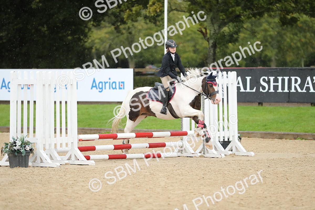 SBM_34364 - J60 Clear Round 50cm