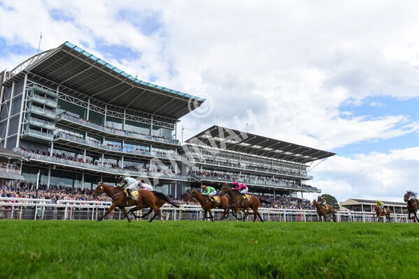 yr11062022r3-34 - Race 3 2.35pm The JCB Stakes