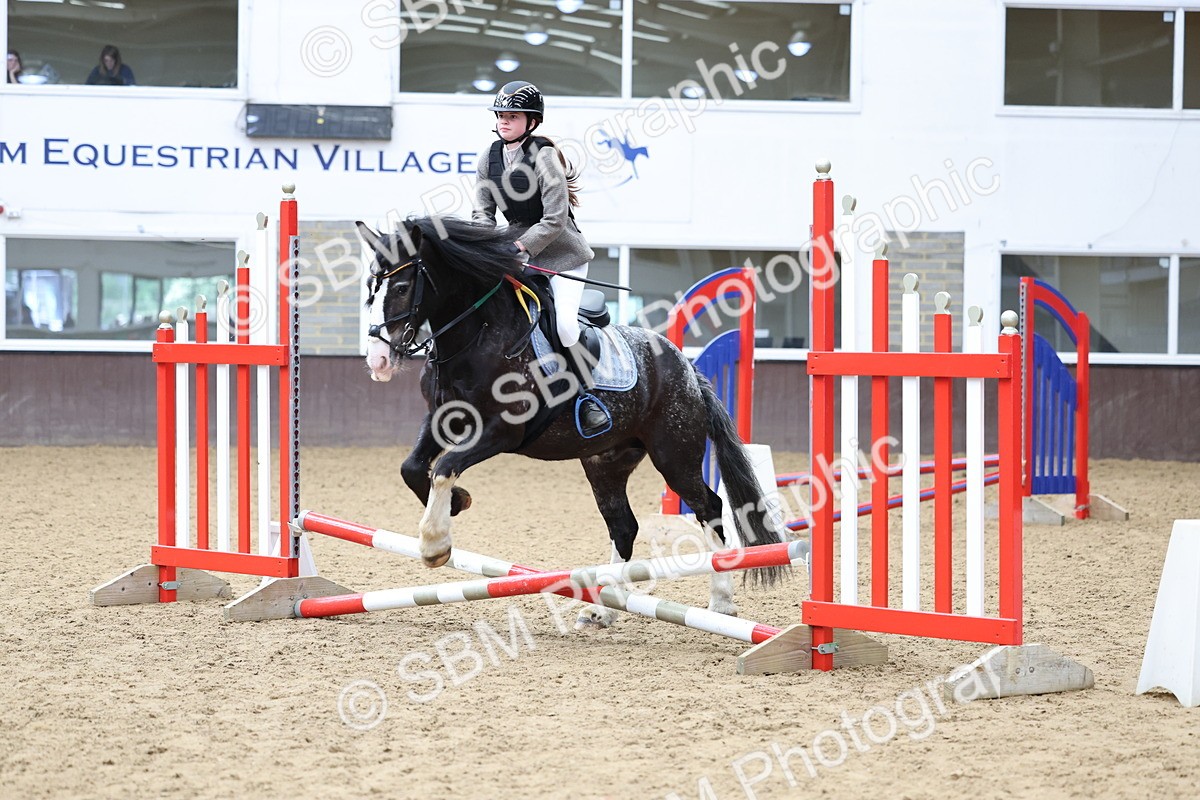 SBM_007370 - Class 2 - 50cm showjumping