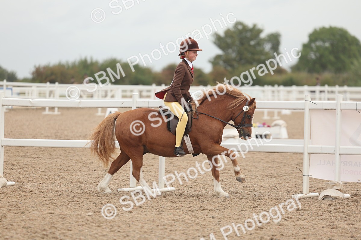 SBM_01878 - Class 14 - Ridden M&M Wildcard