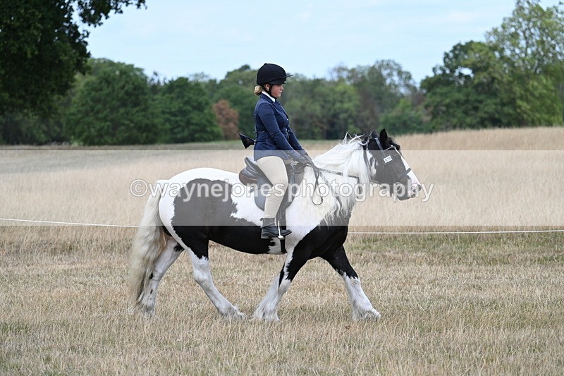 WJ7_4799 - Class 12 Ridden Cob