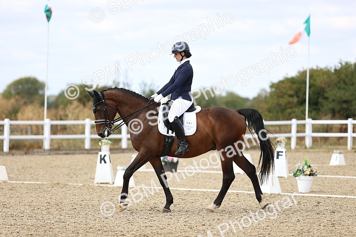 SBM_015199 - Class 5 - E5 Bronze 14.42.15.54